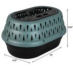 Small Dog & Cat Carrier Plastic Kennel, 19