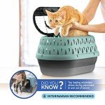 Small Dog & Cat Carrier Plastic Kennel, 19