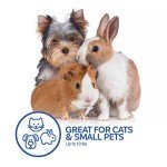 Small Dog & Cat Carrier Plastic Kennel, 19