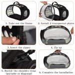 Collapsible Clear Cat Carrier Bag for Travel