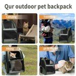 Airline-Approved Cat Backpack Carrier - Dark Green
