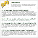 Cat Energy Balls and Toys Set (Green)