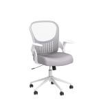 Ergonomic Mid-Back Mesh Office Chair, Gray
