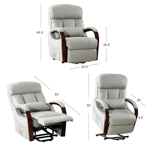 Zenosyne Power Lift Recliner Chair for Elderly, Waterproof