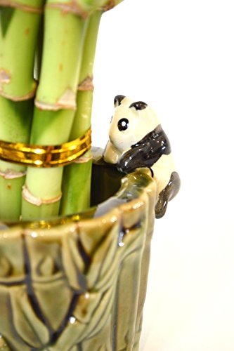 Ceramic Panda Vase with 9GreenBox Lucky Bamboo