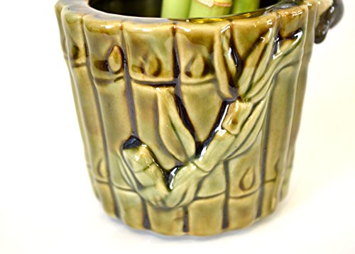 Ceramic Panda Vase with 9GreenBox Lucky Bamboo