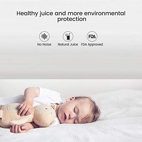 Stainless Steel Manual Fruit Press for Cheese Making