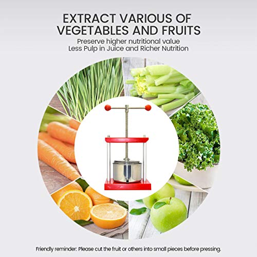 Stainless Steel Manual Fruit Press for Cheese Making