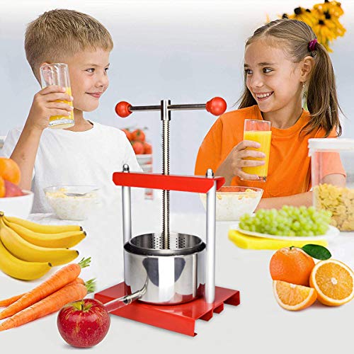 Stainless Steel Manual Fruit Press for Cheese Making