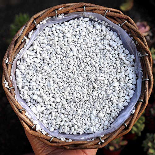 Natural Perlite for Improved Plant Growth (2 Quarts)