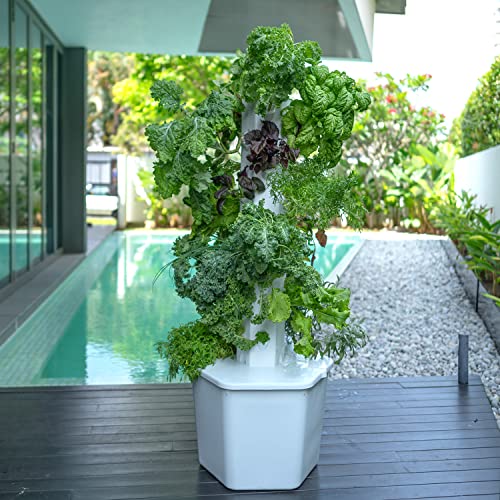 27-Plant Vertical Hydroponic Growing System for Outdoors