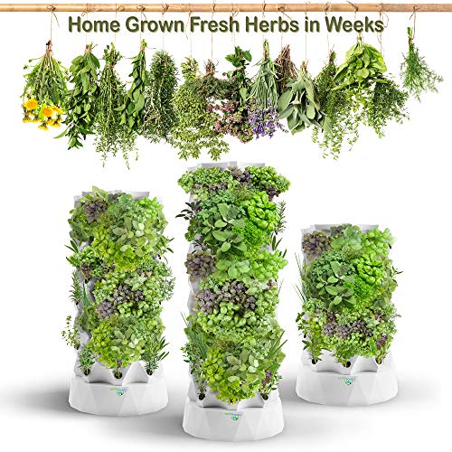 Hydroponic Tower for Indoor Plants - Nutraponics