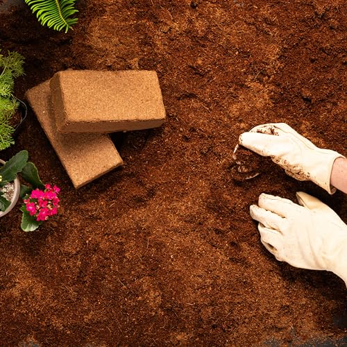 5 Compressed Coco Coir Bricks for Hydroponics