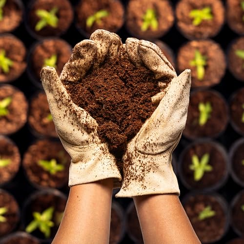 5 Compressed Coco Coir Bricks for Hydroponics