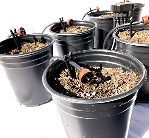 Starter Hydroponic Drip Kit with 12 Plants