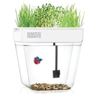 3 Gallon Aquaponic Indoor Garden with Fish Support