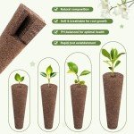 79-Piece Hydroponic Seed Starter Kit for Indoor Growing