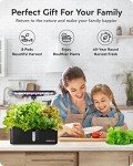 Indoor Hydroponic Garden System with LED Grow Light