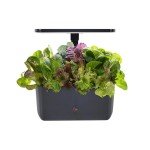 AeroGarden Harvest 2.0 Hydroponic Indoor Garden System