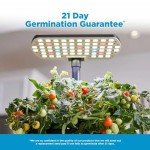 AeroGarden Harvest 2.0 Hydroponic Indoor Garden System