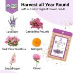 8 Hydroponic Flower Seed Pods with 600+ Seeds