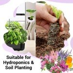 8 Hydroponic Flower Seed Pods with 600+ Seeds