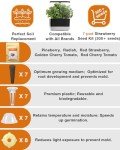 Strawberry and Pineberry Seed Pod Kit for Hydroponics