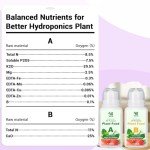 8 Hydroponic Flower Seed Pods with 600+ Seeds