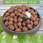 Organic Clay Pebbles for Hydroponic Growing System