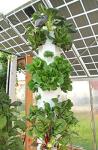 27-Plant Vertical Hydroponic Growing System for Outdoors