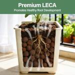 Organic Clay Pebbles for Hydroponic Growing System