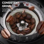 Olayks Electric Conical Burr Coffee Grinder