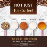 Orblue Stainless Steel Coffee Scoop Set - 2 Pack