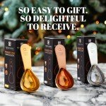 Apace Living Stainless Steel Coffee Scoop Set