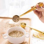 Stainless Steel Multi-Use Coffee Measuring Spoon