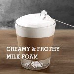 SIMPLETaste Handheld Battery Milk Frother and Mixer