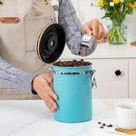 TEDSWAIT Airtight Stainless Steel Coffee Canister