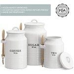 Rustic Ceramic Canister Set for Coffee, Tea, Sugar