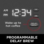 Ninja 12-Cup Programmable Coffee Maker, Black/Stainless Steel