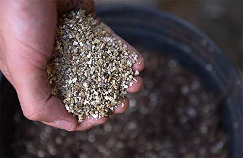 Organic Vermiculite-8 Dry Quarts Soil Additive
