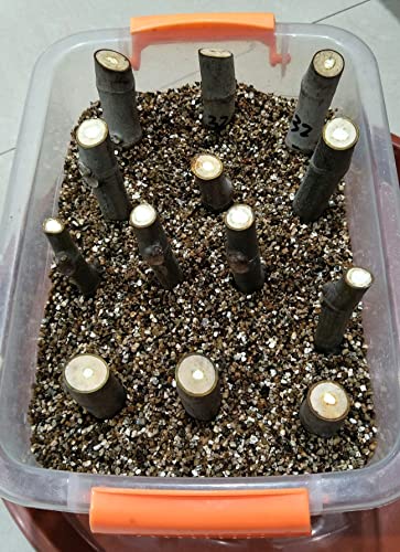 Organic Vermiculite Granules for Plants and Gardening (10 Quarts)