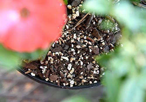 Organic Vermiculite-8 Dry Quarts Soil Additive