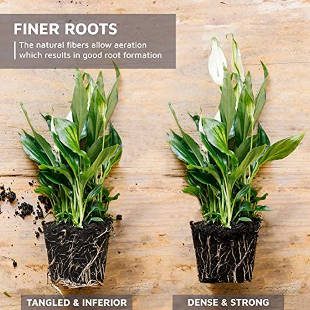 Eco-friendly Coco Coir Bricks for Hydroponics