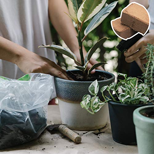 Organic Coco Coir Bricks for Hydroponic Plants