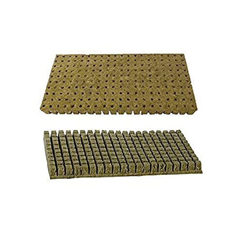 200 Grodan Rockwool Starter Cubes for Hydroponics