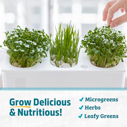 3 Gallon Aquaponic Indoor Garden with Fish Support