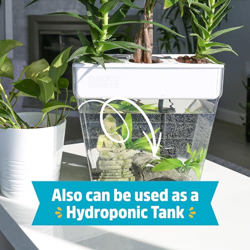 3 Gallon Aquaponic Indoor Garden with Fish Support