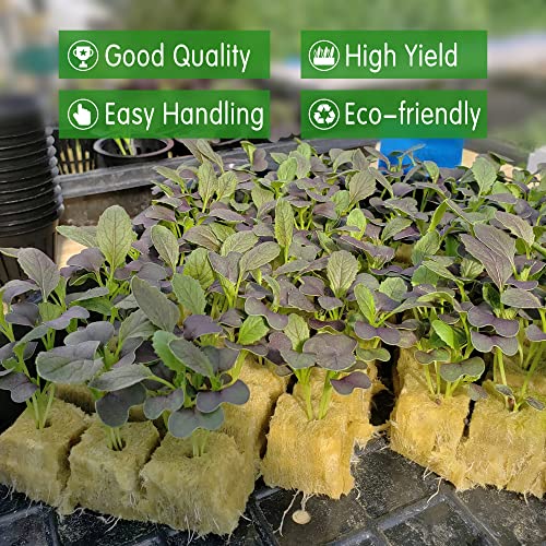 CastleGreens Rockwool Grow Cubes - 200 Plugs