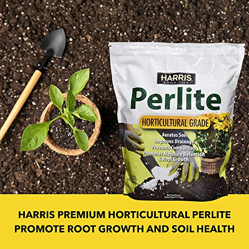 Harris Premium Perlite for Root Growth