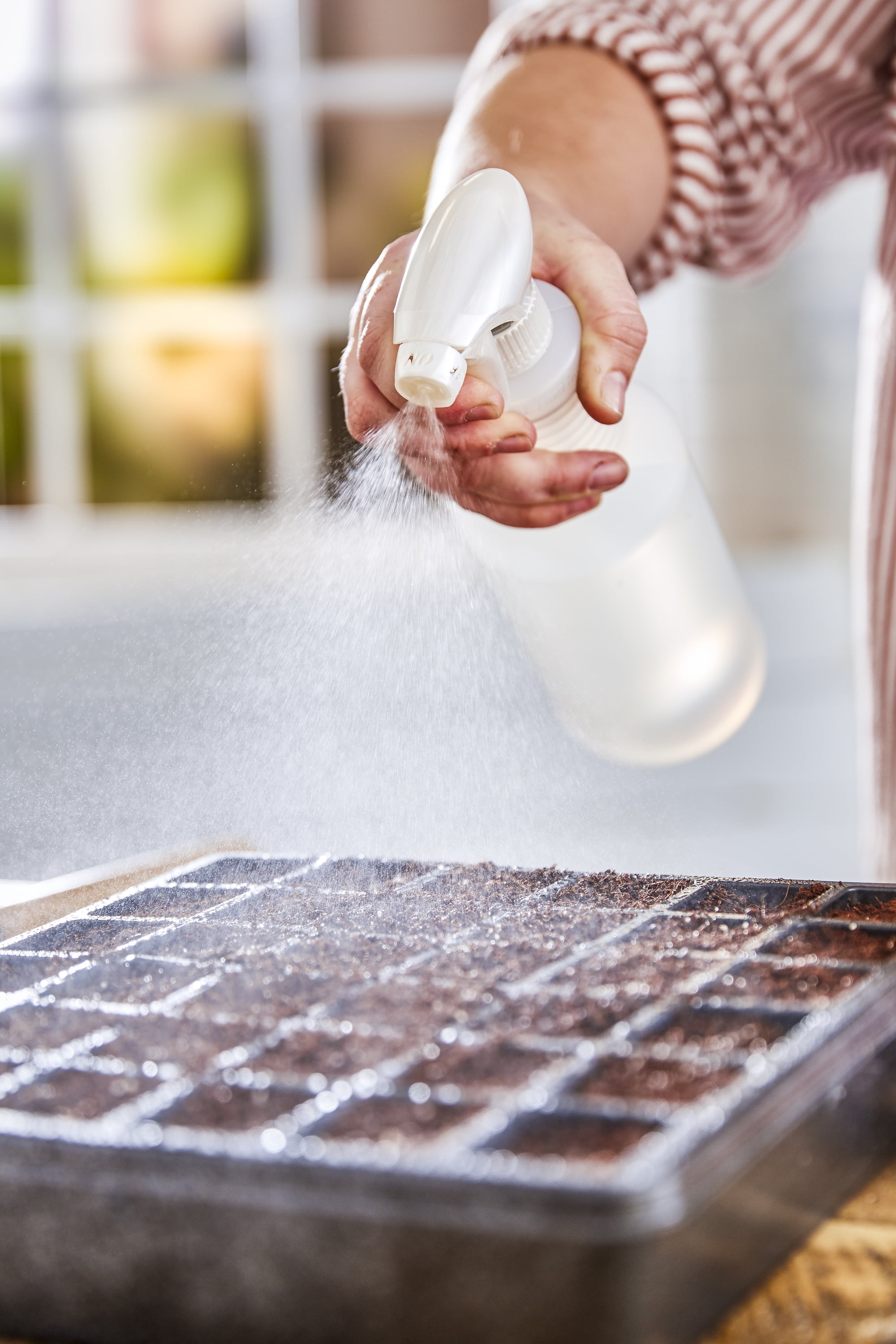 Organic seed starting mix, 16 quart